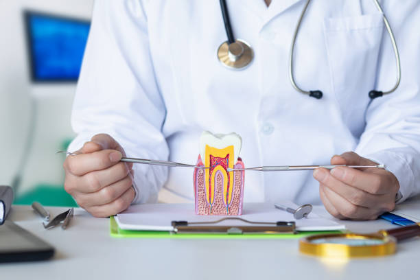 Best After-Hours Emergency Dentist in Jim Thorpe, PA